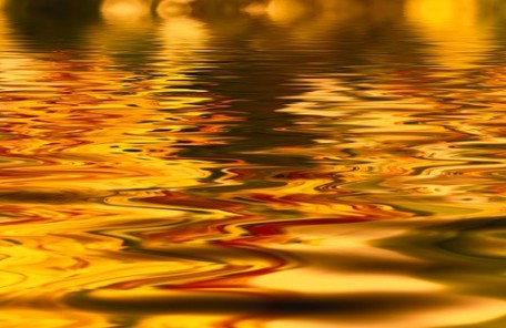 金色の水面
