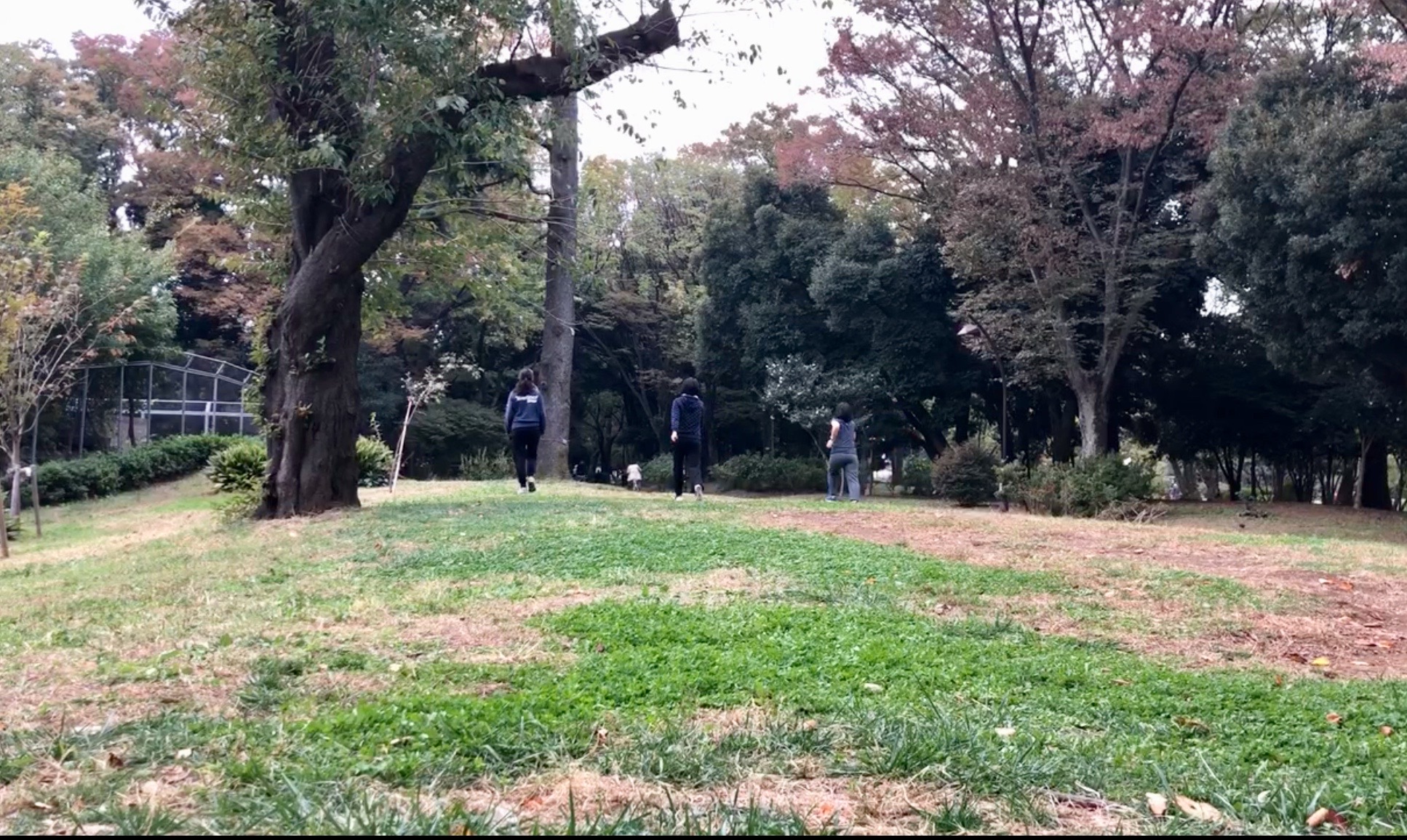 ウォーキングレッスン4